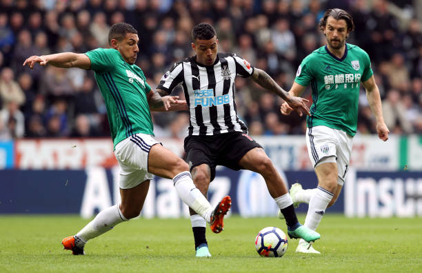 展现了他们 展现了他们